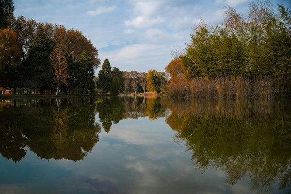 Recettes de cuisine faciles avec des aliments bio